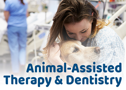 Newport Beach dentist, Dr. Justin Hsieh at Birch Dental discusses pros and cons of animal-assisted therapy (AAT) in the dental office.