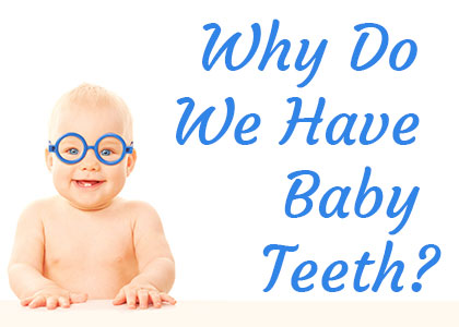 Newport Beach dentist, Dr. Justin Hsieh at Birch Dental discusses the reasons why we have baby teeth and the importance of caring for them with pediatric dentistry.
